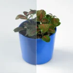 Image montrant le type de vitre de la marque Antisol et de couleur gris