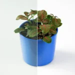 Image montrant le type de vitre de la marque Antisol et de couleur vert