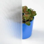 Image montrant le type de vitre master point