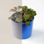 Image montrant le type de vitre de la marque Stopsol vert