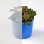 Image montrant le type de vitre de la marque stopsol clear